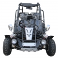 Adult Dune Buggy Petrol 300cc Black 