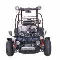 2 Seater Racing Buggy With Reverse 150cc Black