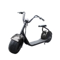 Big Wheel Electric Scooter With Seat 1000W