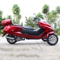 300cc 3 wheel Gas Scooter Trike 