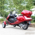 300cc 3 wheel Gas Scooter Trike 