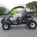 Adult Dune Buggy Petrol 300cc Black 
